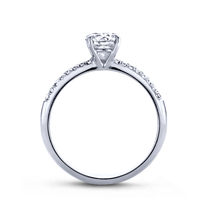 BYR&C LIFETIME RING "ARIO" RICHE R2020WG-R - Brunott Juwelier
