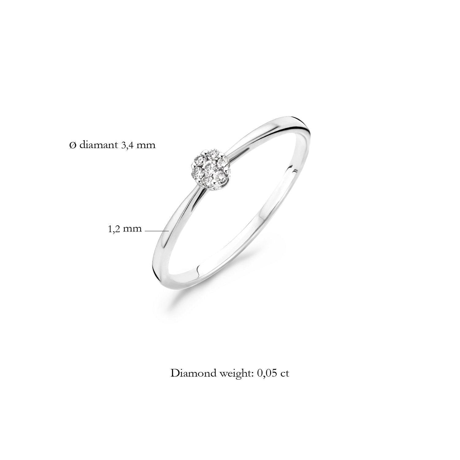 BLUSH DIAMONDS RING 1608WDI - 14 K WITGOUD - Brunott Juwelier