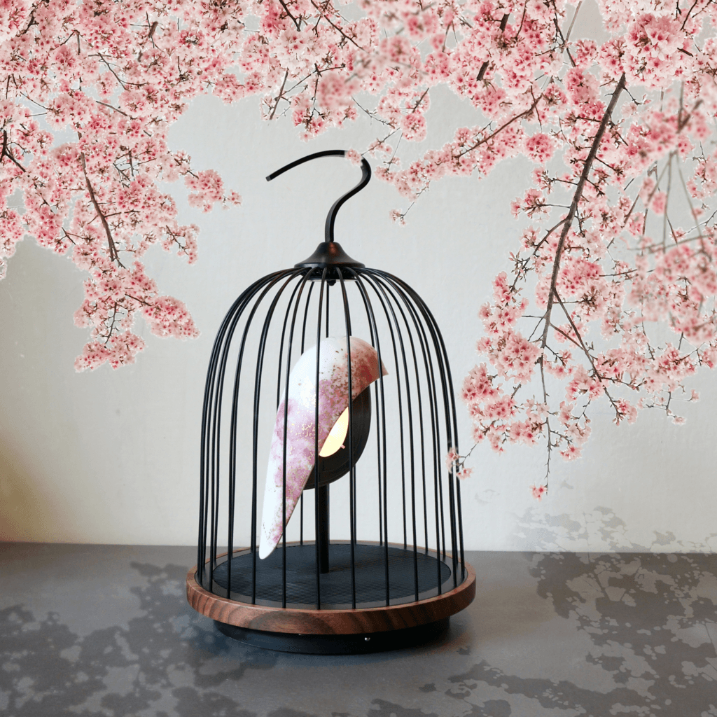 Jingoo - Cherry Blossom